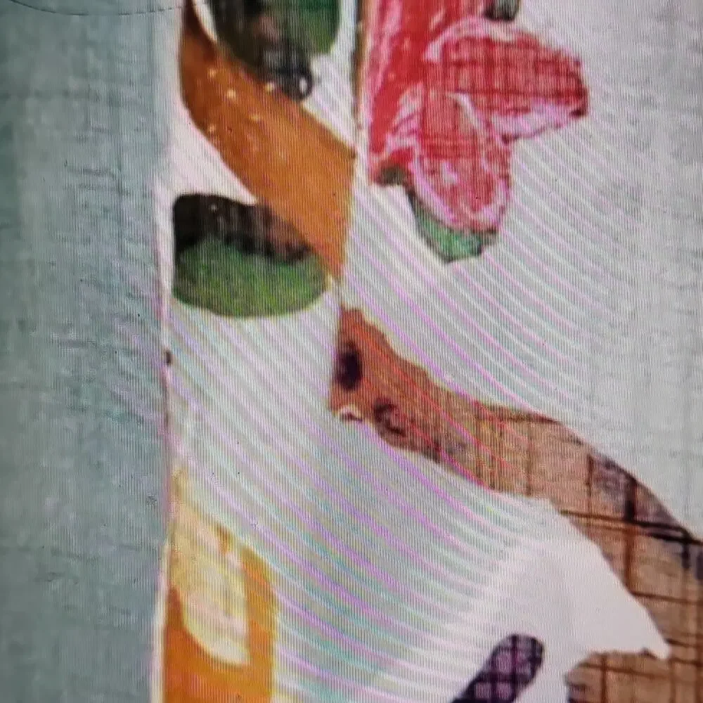 Anthropologie Floral Cotton Light Filtering Rod Pocket Curtain Panel 50x63 Pair